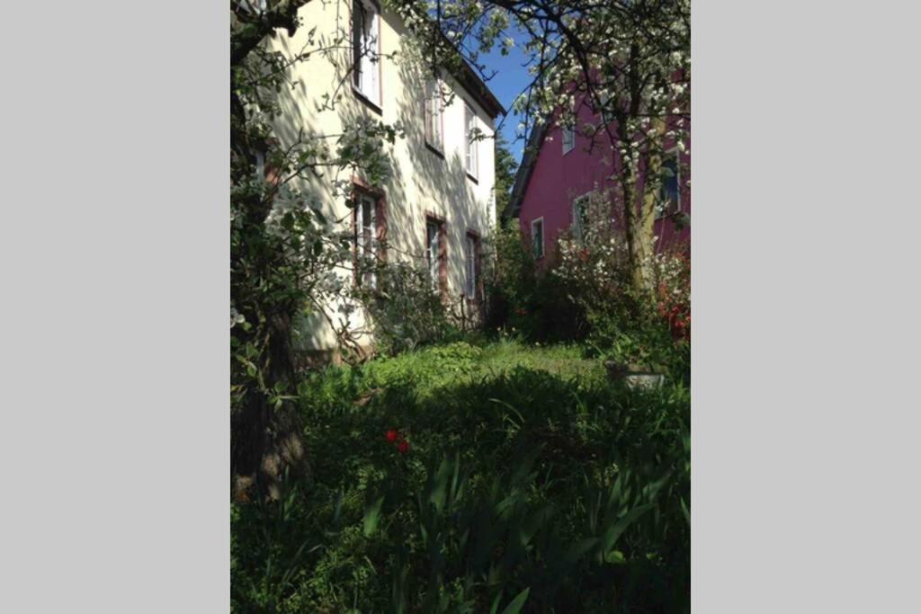 Liebevolles, Altes Schulhaus Im Vintage Stil Villa Wartmannsroth Exterior photo